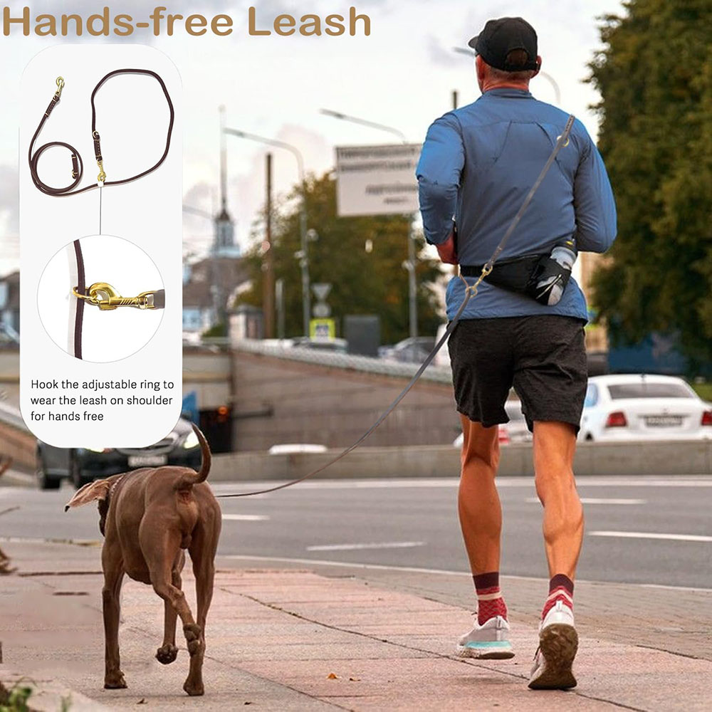 Laisse pour chien multifonctio - Leather Strap Quick Release avis et prix